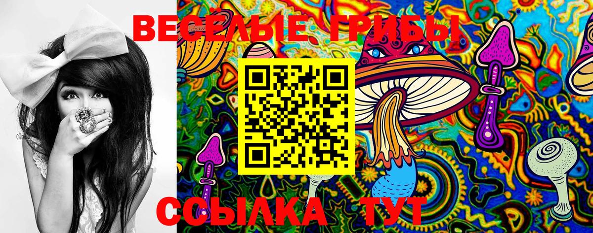 Псилоцибиновые грибы мицелий Ступино